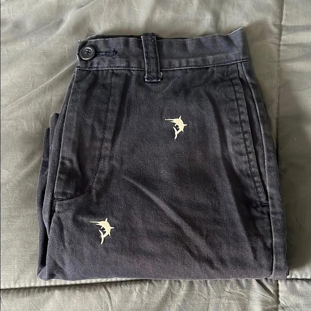 JCrew Factory Embroidered Chino Short Size 29